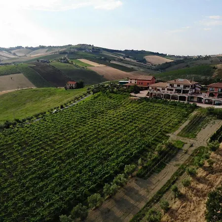 Emidio Pepe Torano Nuovo