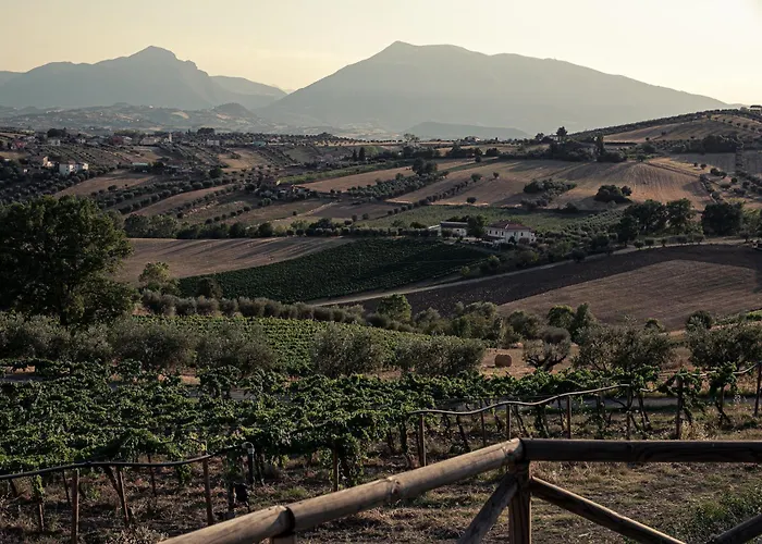 ファームステイ Emidio Pepe